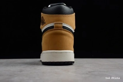 ROY Retro High 333 555088-700 Jordan 1 Air AllSeason OG 0906